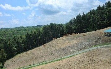 130627牧場