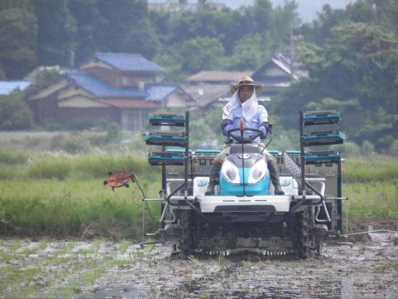 余裕の田植え