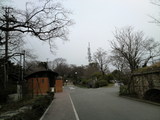 火の山公園