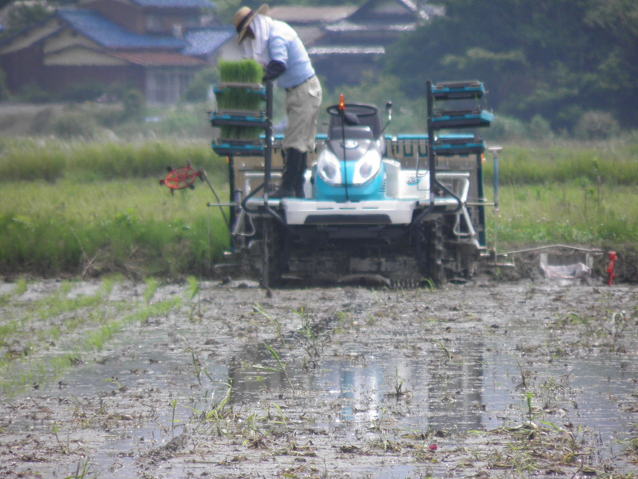田植えも機械化