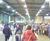 20090211083614