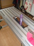 ひぃひひぃ〜ん跨りお馬ちゃん4号1−2