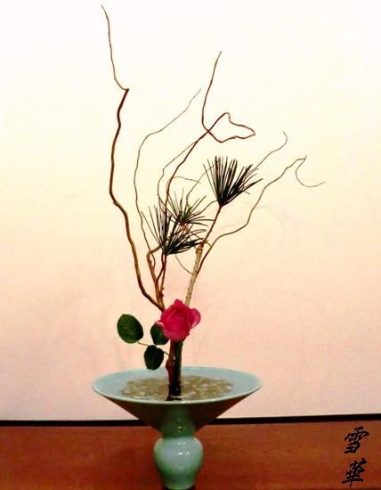 12-1-11���ֿ����Υɥ饴�����̾���