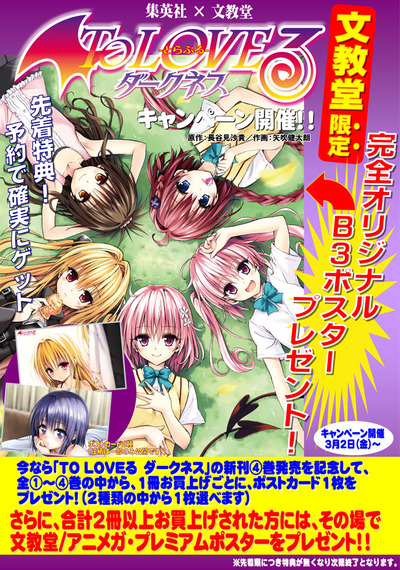 ToLOVEるダークネス　タペストリー　ポスター　予約限定品 b118f143-s.jpg