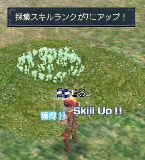 Rank7