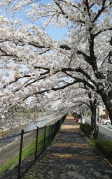 20180329_123443_Burst01