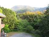 IMG_1645