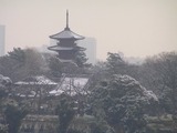 100217 019