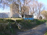 newsimg1202