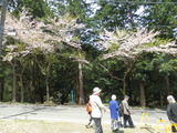 P4160026