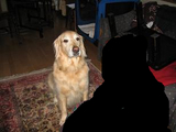 BlogPaint