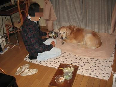 BlogPaint