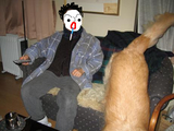 BlogPaint
