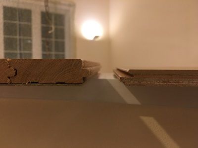 IMG_9806