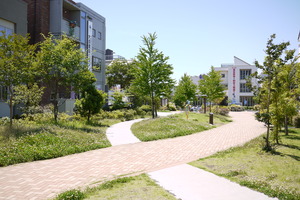 P1050856
