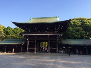 写真1