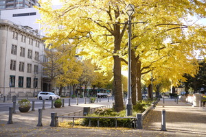P1050582