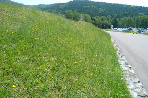 P1040803