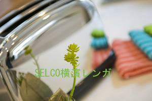 BlogPaint