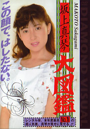 av1-dvi-010d-sakagamimakoto