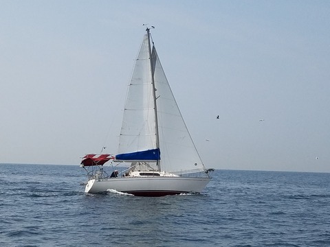20190422_101658