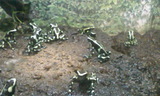 0f57286c.jpg