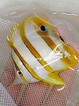 15c88ebe.jpg