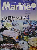 32990e3d.jpg