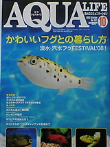 45aa6c72.jpg