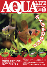 4d2387d9.jpg