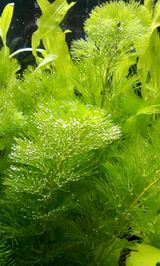 5ab73b01.jpg