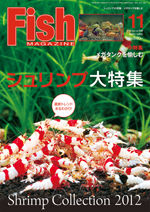 fish1211