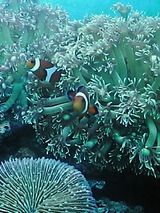 69e782b8.jpg