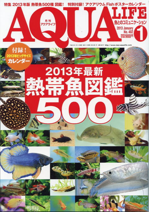 アクアライフ1