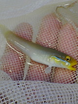7c2cd9bb.jpg