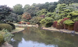 86d8b0f1.jpg