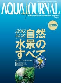 4fa885733a777