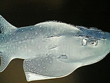 9c3f0268.jpg