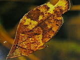 9e58c849.jpg