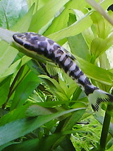 b378ddf5.jpg