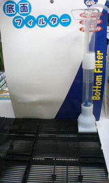 be29636f.jpg