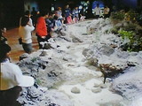 c081d3f7.jpg