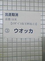 c621eef3.jpg