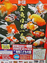d020d9e6.jpg