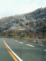 81c81478.jpg