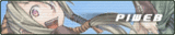 PIWEB burner