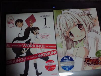 WORKING���Ҥ��ޤ�