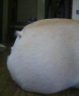 cb001660.jpg