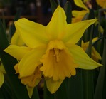 022