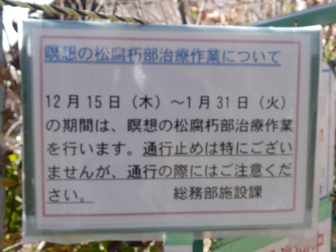 meisounomatsu06